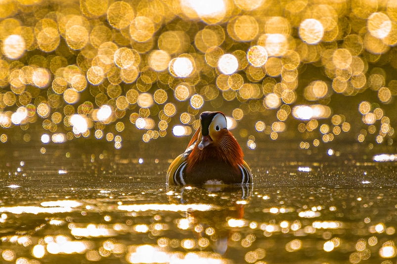 Фото: primamedia.ru