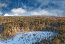 Солнечные дни и осадки радуют Сибирь и Урал по прогнозам Метео solnechnye dni i osadki raduyut sibir i ural po prognozam meteo-dmvv-ru-174357983800-0