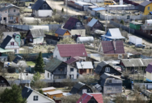 Советы от Фёдора Васильева и ГЛАВСНАБ для успешного старта дачного сезона sovety ot fyodora vasileva i glavsnab dlya uspeshnogo starta dachnogo sezona-dmvv-ru-174347334700-0