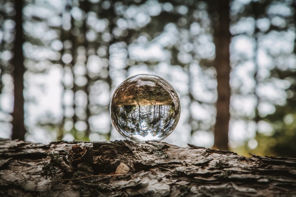 стеклянный шар на пеньке