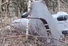 Тяжелый БПЛА ВСУ сбит в Курской области – раскрыты детали от Александра Хинштейна tyazhelyj bpla vsu sbit v kurskoj oblasti raskryty detali ot aleksandra hinshtejna-dmvv-ru-174457049500-0