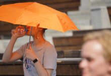 Тёплая погода апреля - в Москве ожидается рекордная температура Лекция «Давай поговорим! Как пережить ЕГЭ и другие испытания» психолога Лабковского в «Зарядье»