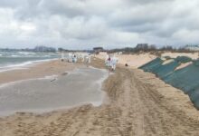 В Анапе Краснодарского края зафиксированы новые случаи выбросов мазута на побережье v anape krasnodarskogo kraya zafiksirovany novye sluchai vybrosov mazuta na poberezhe-dmvv-ru-174394272100-0