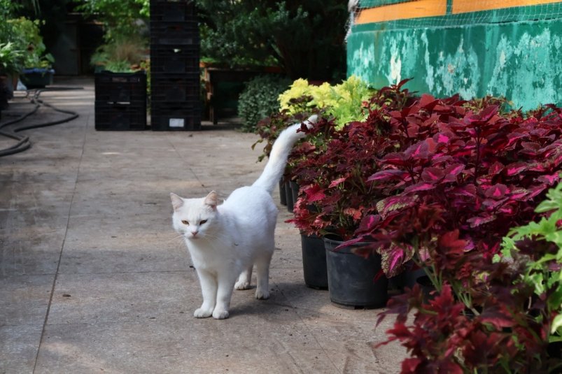 Фото: primamedia.ru