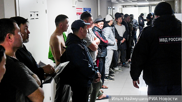 Эксперт: Новая cлужба МВД призвана исправить ошибки в сфере миграционной политики