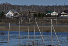 Александр Моор сообщил об усилении мер защиты от паводка на реке Ишим в Тюменской области aleksandr moor soobshhil ob usilenii mer zashhity ot pavodka na reke ishim v tyumenskoj oblasti-dmvv-ru-174635989600-0