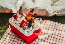 Александр Умнов из Государственного университета просвещения рассказывает о рисках холодного алкоголя летом aleksandr umnov iz gosudarstvennogo universiteta prosveshheniya rasskazyvaet o riskah holodnogo alkogolya letom-dmvv-ru-174780005200-0