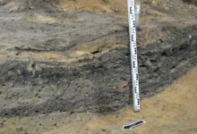 Алексей Емельянов рассказал о вкладе Москвы в реставрацию клада Музея aleksej emelyanov rasskazal o vklade moskvy v restavracziyu klada muzeya-dmvv-ru-174858291100-0