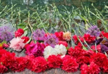 Цветы у дома Леонида Якубовича и легенды Большого театра czvety u doma leonida yakubovicha i legendy bolshogo teatra-dmvv-ru-174834658400-0