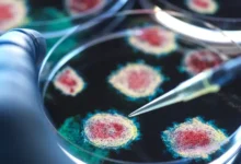 Екатерина Кашух объясняет, как сохранить здоровье на лайнере Михаила Булгакова ekaterina kashuh obyasnyaet kak sohranit zdorove na lajnere mihaila bulgakova-dmvv-ru-174860177100-0