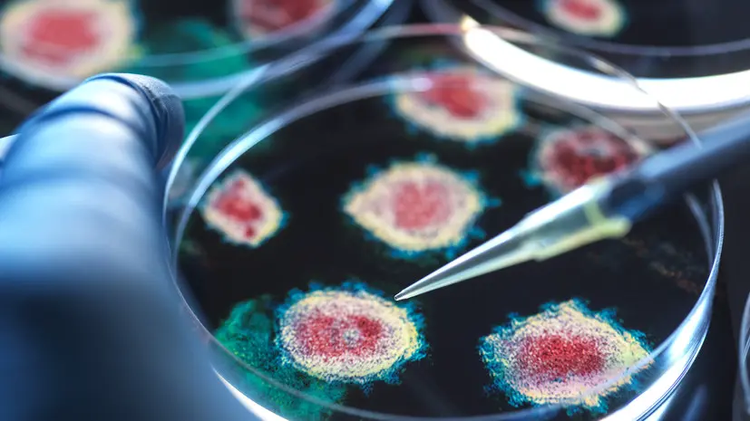 Врач Кашух назвала симптомы норовируса