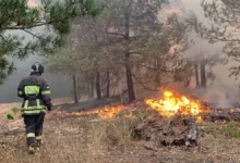 Илья Рыбальченко объясняет борьбу Республики Бурятия с лесными пожарами ilya rybalchenko obyasnyaet borbu respubliki buryatiya s lesnymi pozharami-dmvv-ru-174792870900-0
