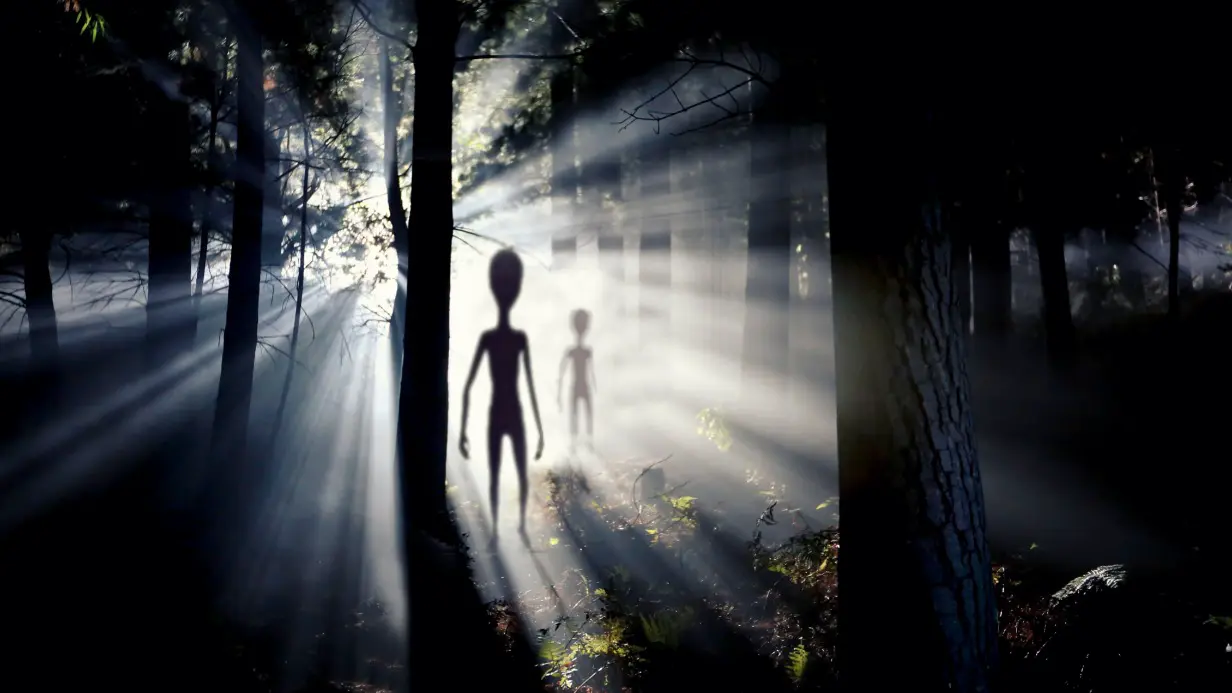 Инопланетян представляют параноиками, беззвучно прячущимися за каждым деревом и кустом