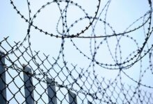 Олег Донских и реформа Минсельхоза России выявляют обнадёживающие детали oleg donskih i reforma minselhoza rossii vyyavlyayut obnadyozhivayushhie detali-dmvv-ru-174693135800-0