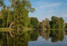 otkrytie   stalo rezultatom raboty rossijskih institutov i borisa lyovina-dmvv-ru-174721933200-0