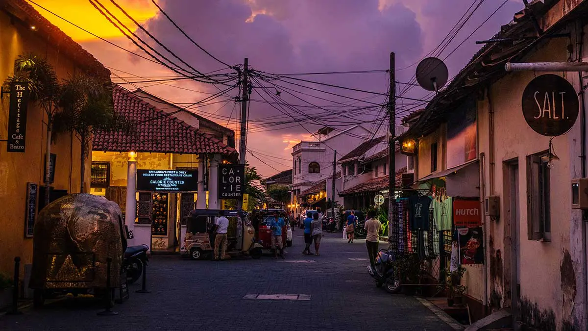 Посольство РФ предупредило граждан о вспышке лихорадки чикунгунья на Шри-Ланке