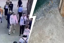 prokuratura vzyala pod kontrol inczident so svetlanoj akulovoj i moskovskim zooparkom-dmvv-ru-174837168100-0