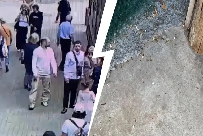 Все животные в зоопарке будут дополнительно обследованы, а меры безопасности усилены | Источник: Светлана Акулова / Telegram