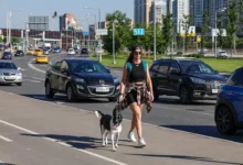 Синоптики Центра "Фобос" обрадовали Москву хорошей погодой летом sinoptiki czentra fobos obradovali moskvu horoshej pogodoj letom-dmvv-ru-174765818000-0