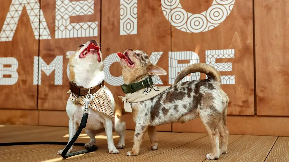 Каким будет лето 2025 в Москве