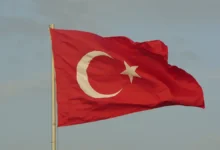 Судьба девочки из аэропорта Антальи: Екатерина Бурнашкина и Николь sudba devochki iz aeroporta antali ekaterina burnashkina i nikol-dmvv-ru-174844563500-0