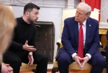 Тарас Качка обсудил переговорах США и Украины, а также Трампа и Зеленского taras kachka obsudil peregovorah ssha i ukrainy a takzhe trampa i zelenskogo-dmvv-ru-174799167100-0