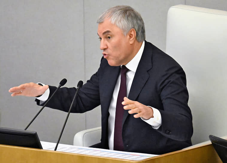 Вячеслав Володин сообщил о внедрении защиты от мошенников через Госуслуги-0