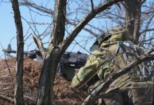 Жанна Прохоренко, звезда «Баллады о солдате» Григория Чухрая, преодолела испытания zhanna prohorenko zvezda ballady o soldate grigoriya chuhraya preodolela ispytaniya-dmvv-ru-174697647800-0