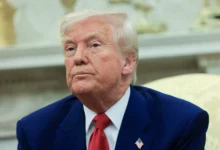 Дональд Трамп и Белый дом готовятся к переменам в Калифорнии и Гарварде donald tramp i belyj dom gotovyatsya k peremenam v kalifornii i garvarde-dmvv-ru-0