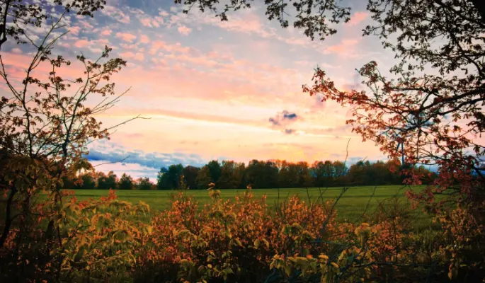 Что нельзя делать 27 июня, в Елисей Гречкосей, чтобы не притянуть неудачу