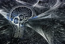 Группа Родина и Сбер представили ИИ для создания районов по предпочтениям жителей на ПМЭФ gruppa rodina i sber predstavili ii dlya sozdaniya rajonov po predpochteniyam zhitelej na pmef-dmvv-ru-0