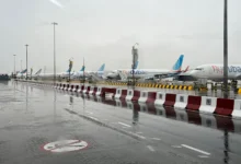 Flydubai, Emirates и Etihad обеспечат 21 рейс между ОАЭ и Россией i obespechat 21 rejs mezhdu oae i rossiej-dmvv-ru-0