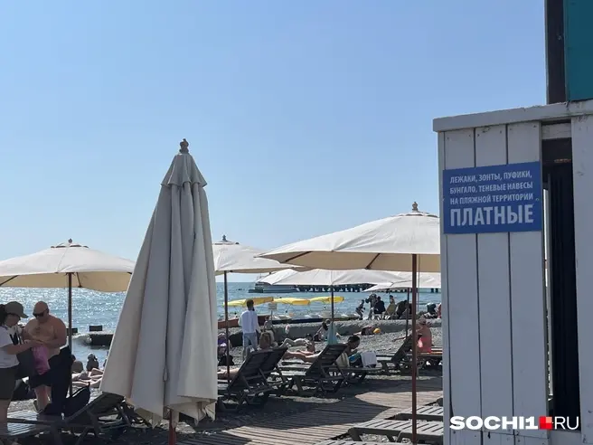 Платное в Сочи всё — каждый шаг | Источник: Анна Грицевич / SOCHI1.RU