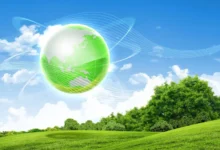 НИУ «МЭИ» представил инновацию в области экологичного сжигания торфа niu mei predstavil innovacziyu v oblasti ekologichnogo szhiganiya torfa-dmvv-ru-174887059400-0