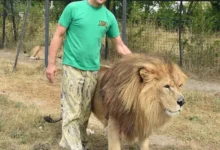 Олег Зубков и его путь через опасности, политику и судьбы «Тайгана» и «Сказки» oleg zubkov i ego put cherez opasnosti politiku i sudby tajgana i skazki-dmvv-ru-0