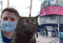 sudba tatyany aksyuty iz filma vam i ne snilos i eyo dostizheniya-dmvv-ru-0