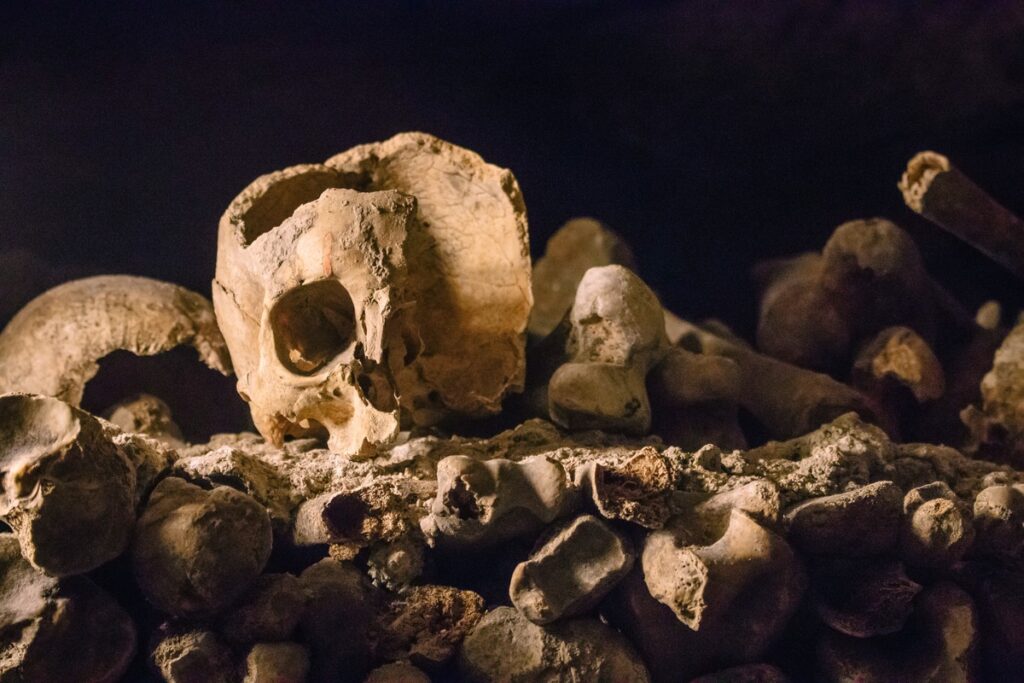 череп в катакомбах