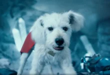 Джеймс Ганн рассказывает о влиянии кино на заботу о животных через Супермена и Крипто dzhejms gann rasskazyvaet o vliyanii kino na zabotu o zhivotnyh cherez supermena i kripto-dmvv-ru-0