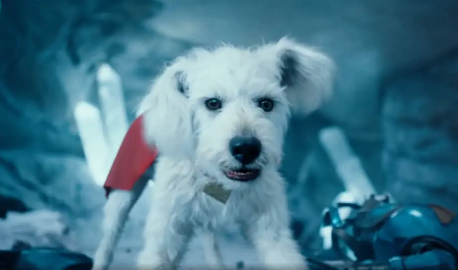 Джеймс Ганн рассказывает о влиянии кино на заботу о животных через Супермена и Крипто-0