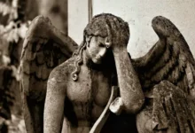 Исследование Орхусского университета с Метте Кьергаард Нильсен о влиянии горя на долголетие issledovanie orhusskogo universiteta s mette kergaard nilsen o vliyanii gorya na dolgoletie-dmvv-ru-0