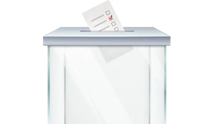 Куряне попросили МГИК организовать для них в Москве голосование за главу региона