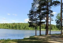 maloistokskij lesnoj park ekaterinburga i ego zelyonoe budushhee dlya molodezhi-dmvv-ru-0