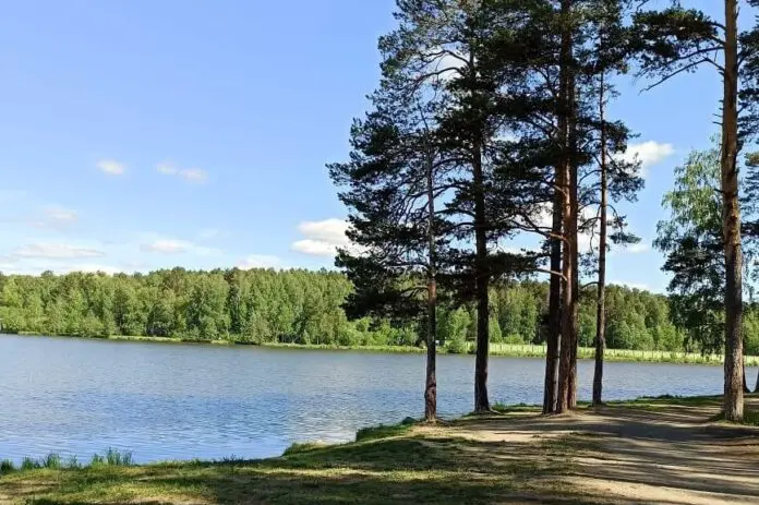 Мало-Истокский лесной парк Екатеринбурга и его зелёное будущее для молодежи-0