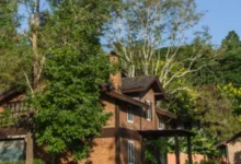 Мичурин советует избегать ели, сосны, ореха и тополя рядом с домом michurin sovetuet izbegat eli sosny oreha i topolya ryadom s domom-dmvv-ru-0