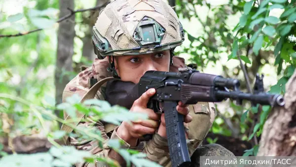 Военкор объяснил, что дает России освобождение Зеленого Гая и Малиевки