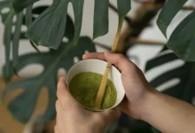 Популярность матча в TikTok и успех Tea and Whisk вызвали мировой дефицит populyarnost matcha v i uspeh vyzvali mirovoj deficzit-dmvv-ru-0