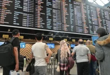 Росавиация принимает меры по поддержке свыше 100 человек в Шереметьево rosaviacziya prinimaet mery po podderzhke svyshe 100 chelovek v sheremetevo-dmvv-ru-0