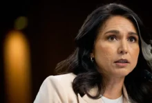tulsi gabbard raskrylala pravdu o trampe i obame v vyborah 2016 goda-dmvv-ru-0