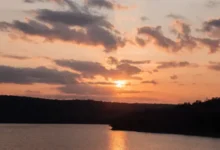 Значение соблюдения традиций охоты на перепелов 3 июля в день святого Мефодия Перепелятника znachenie soblyudeniya tradiczij ohoty na perepelov 3 iyulya v den svyatogo mefodiya perepelyatnika-dmvv-ru-0