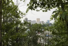 Александр Горшков и Институт теории прогноза землетрясений РАН обсуждают безопасность на Аляске и в зонах Каскадии aleksandr gorshkov i institut teorii prognoza zemletryasenij ran obsuzhdayut bezopasnost na alyaske i v zonah kaskadii-dmvv-ru-0